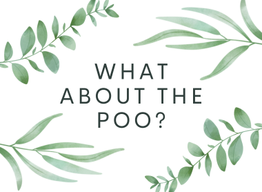 A title image page that says 'what about the poo' when cleaning cloth nappies. 