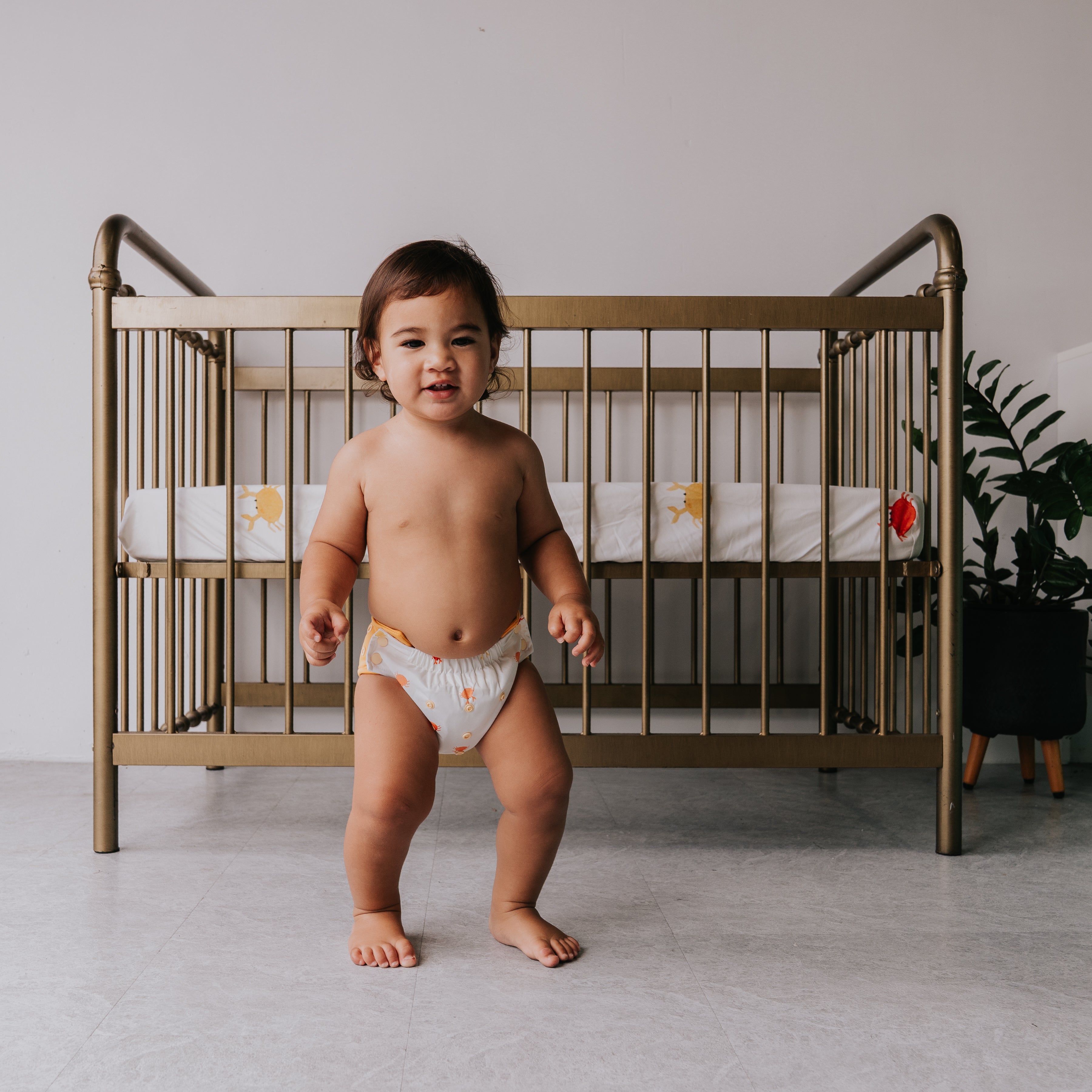 Cot Sheets
