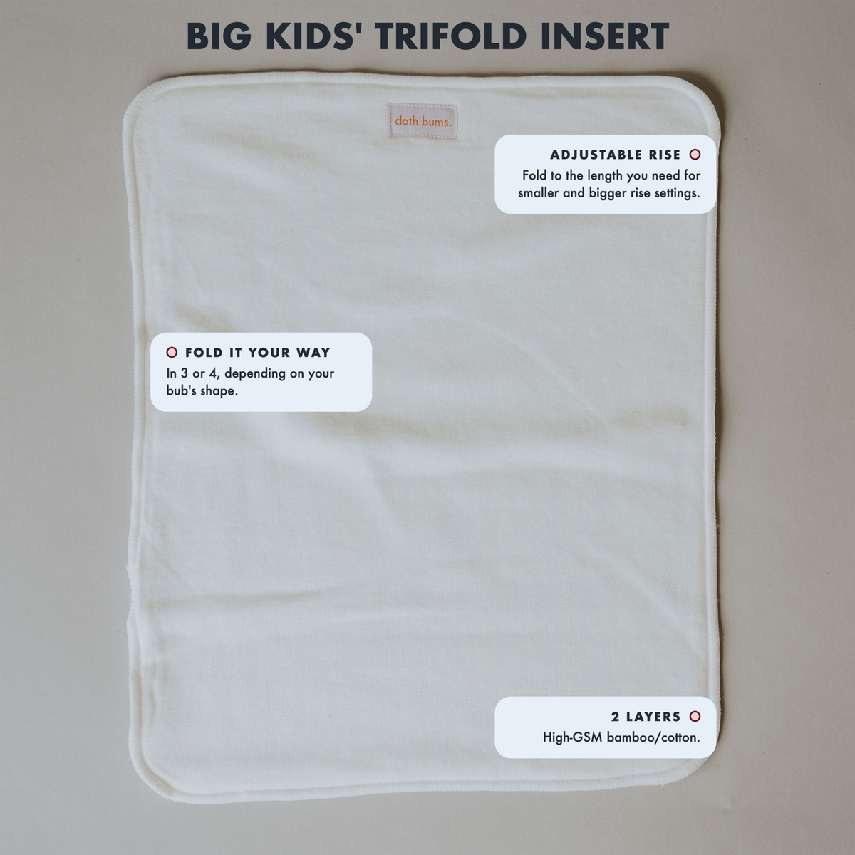 Big Kids trifold insert features