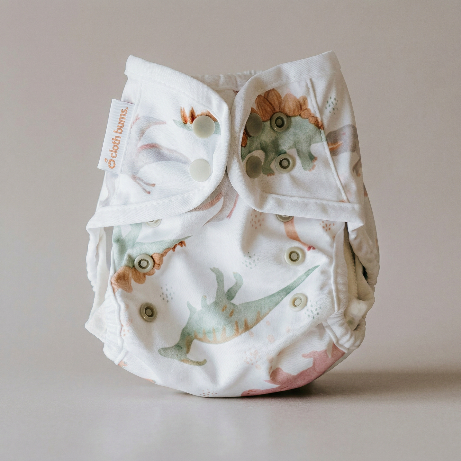 Baby cloth diaper with dinosaur pattern on a plain background