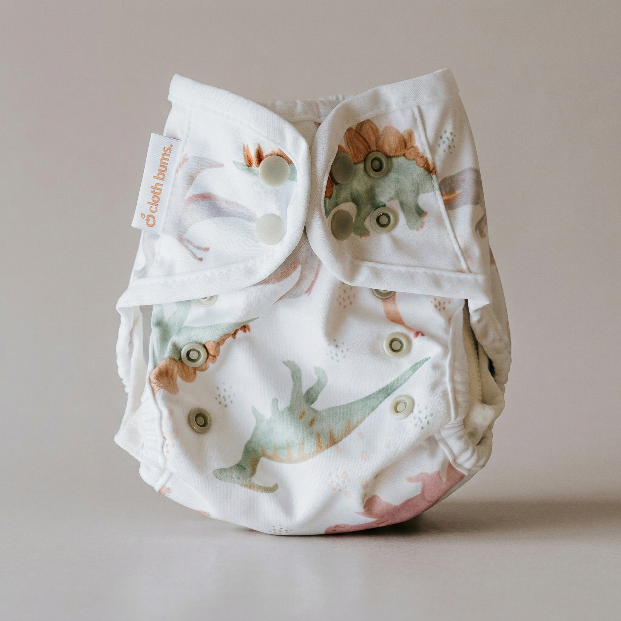Baby cloth diaper with dinosaur pattern on a plain background