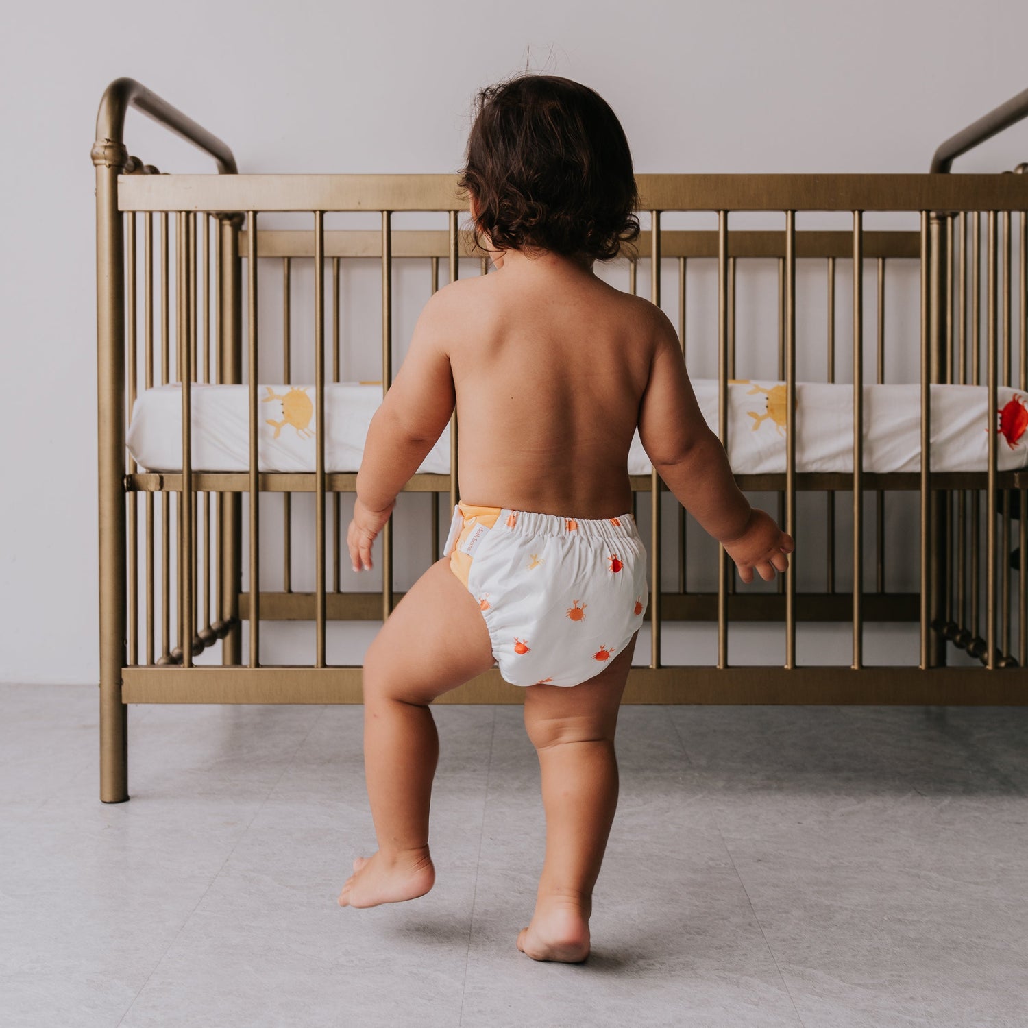GREMLIN Pull Up Cloth Nappy/Training Pant - Crabby Pants