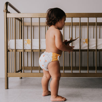 GREMLIN Pull Up Cloth Nappy/Training Pant - Crabby Pants