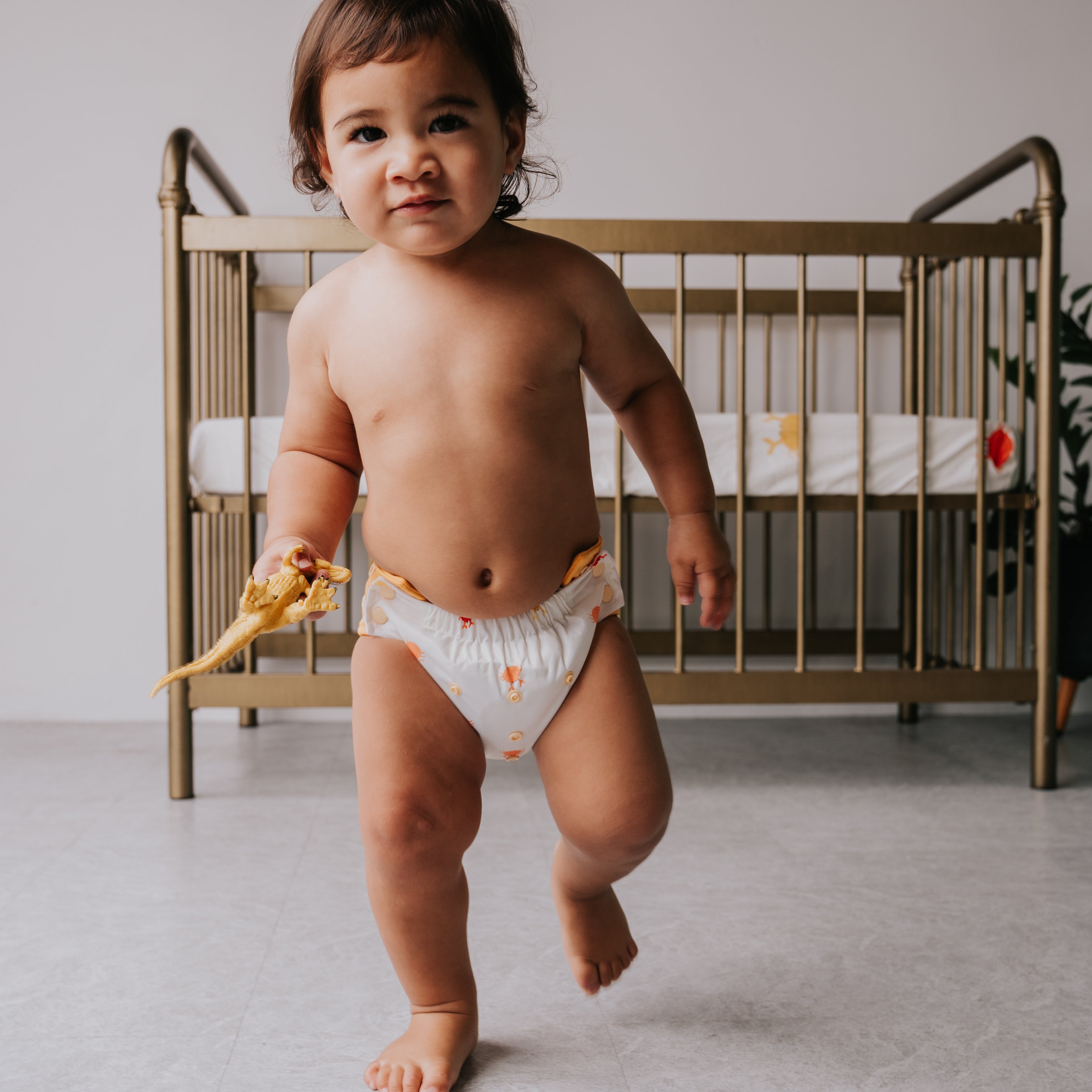 GREMLIN Pull Up Cloth Nappy/Training Pant - Crabby Pants