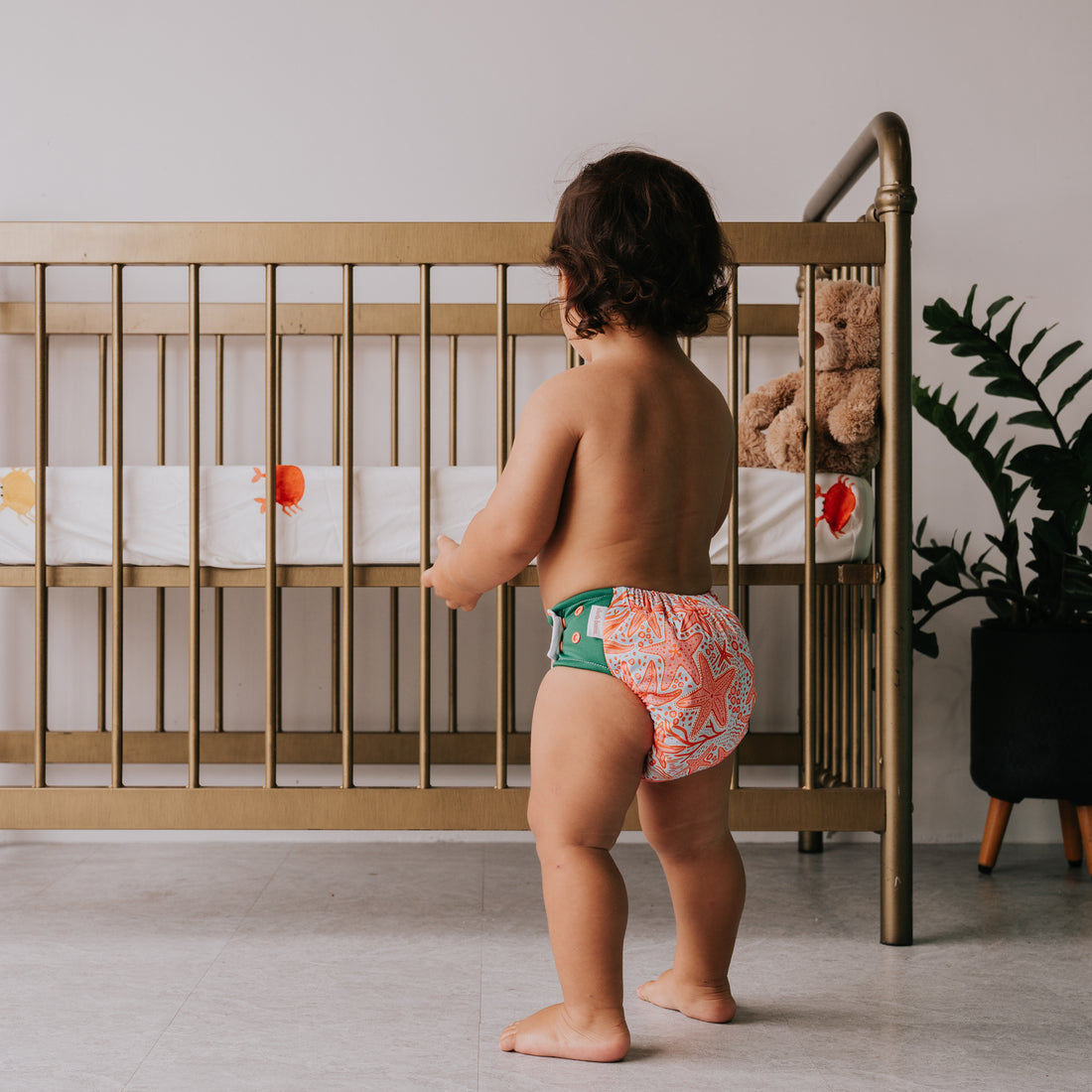 GREMLIN Pull Up Cloth Nappy/Training Pant - Reef Riot