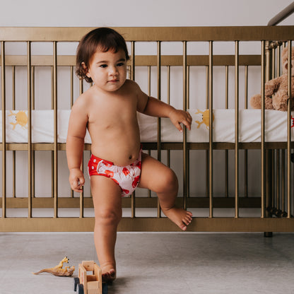 GREMLIN Pull Up Cloth Nappy/Training Pant - Cherry Pop