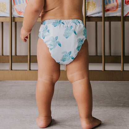 GREMLIN Pull Up Cloth Nappy/Training Pant - Float On