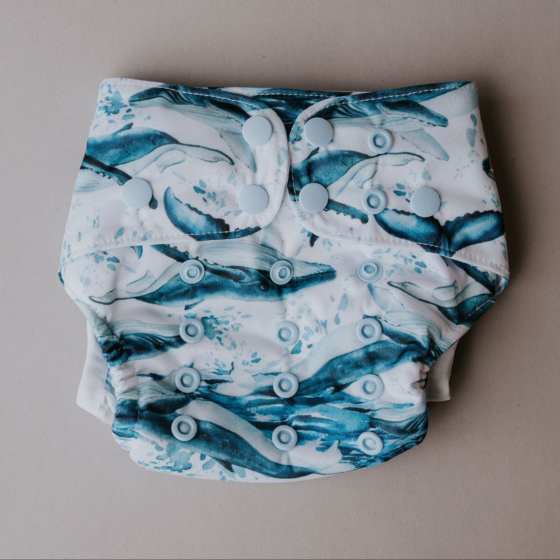 Hydra Swim Nappy - License to Krill
