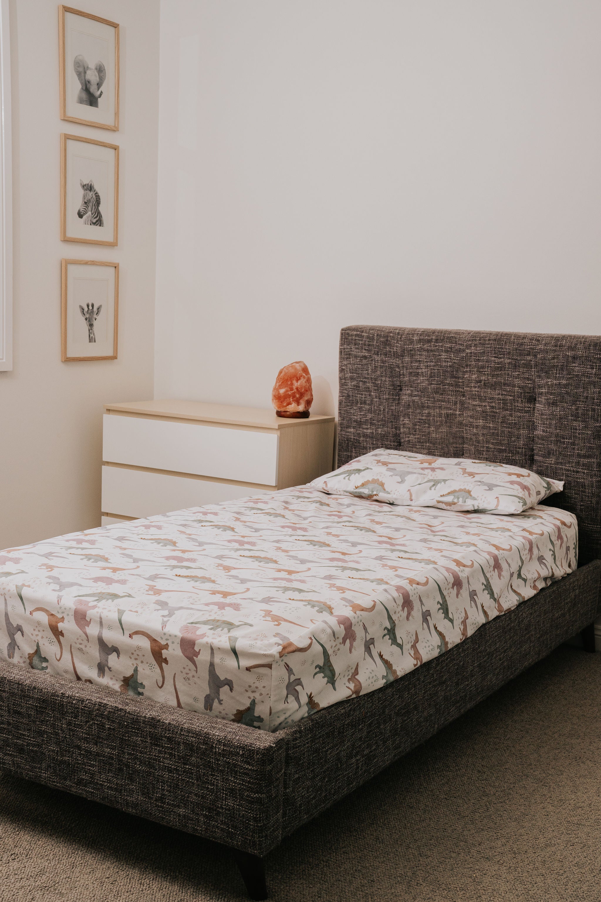 Waterproof Fitted Sheet in Single or King Single - Prehistoric