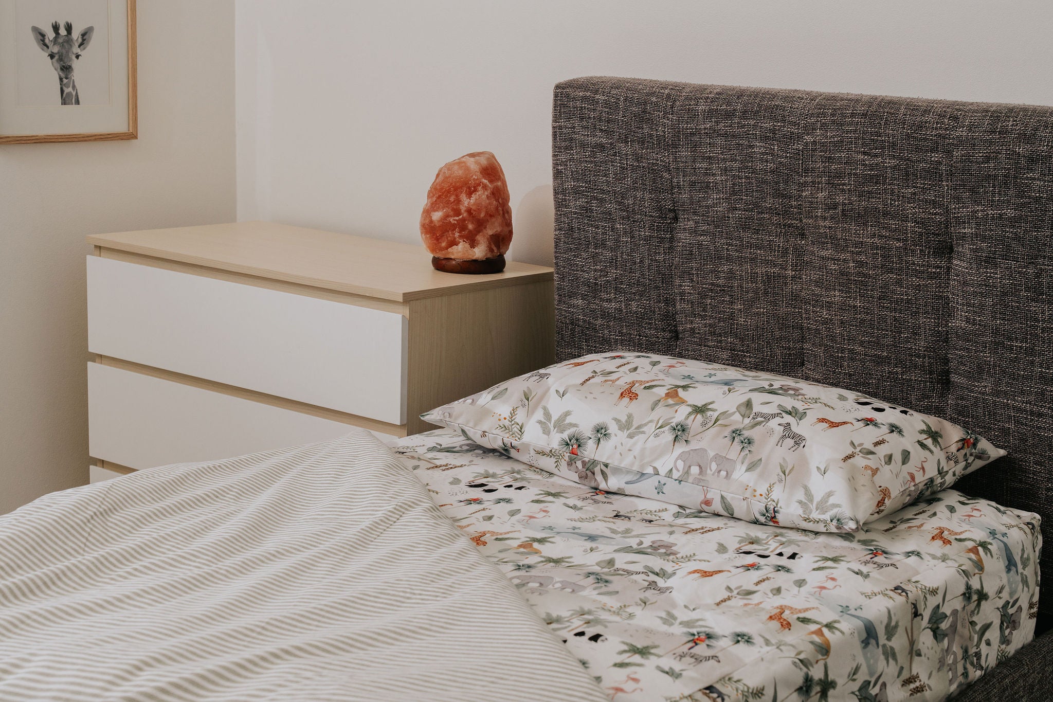 Waterproof Fitted Sheet in Single or King Single - Wild Ones