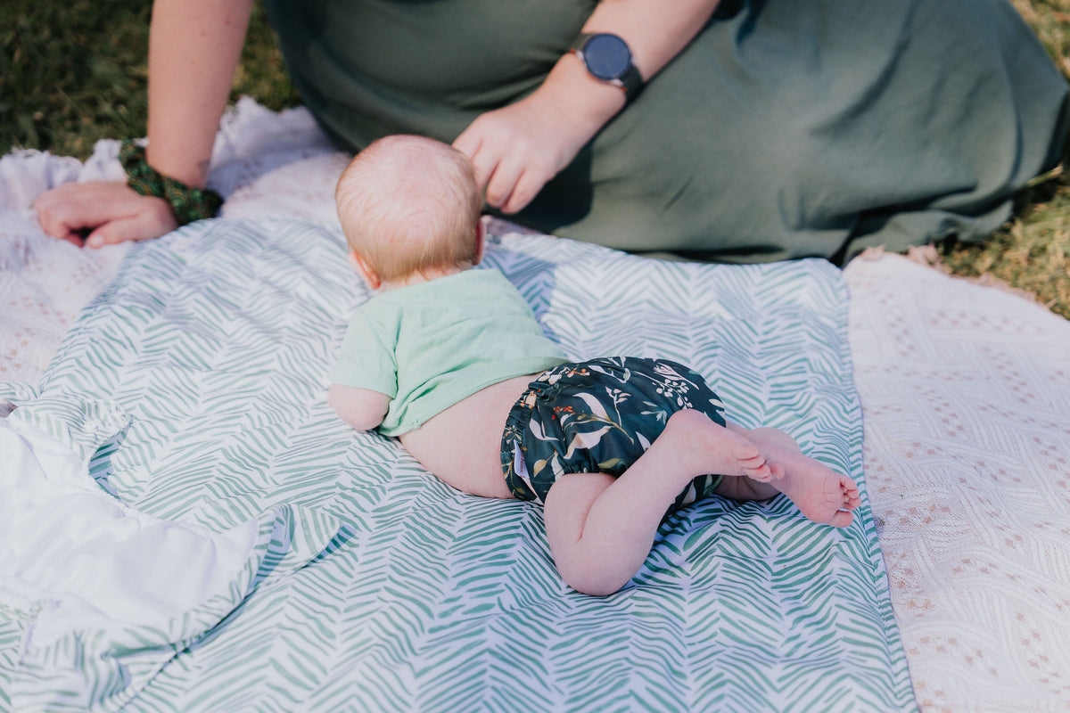 Evergreen